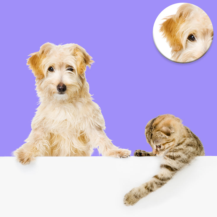 Image masking
